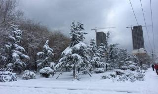 威海最长连续降雪多少天 威海暴雪三天三夜