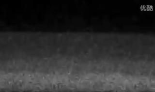 wwe历史十大巨星wwe谁最厉害 wwe送葬者出场音乐