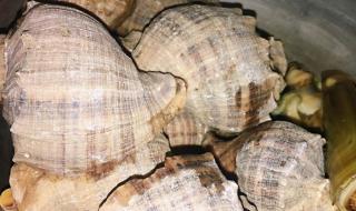 天津最大一级批发市场 天津王顶堤批发市场