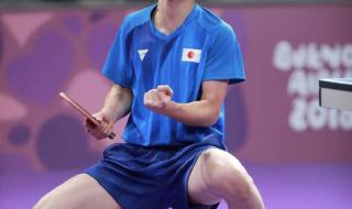 世乒赛王楚钦战胜张本智和了吗 为何王楚钦从不把张本智和放在眼内