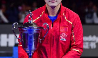 樊振东有几个全锦赛冠军 2021年新加坡世界杯樊振东成冠军吗